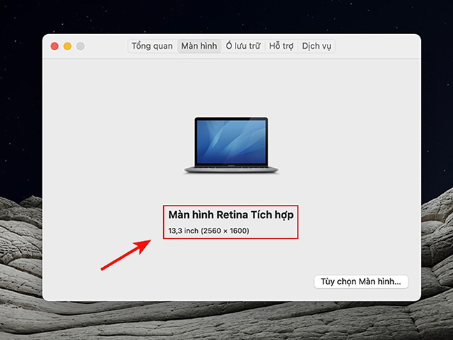 kiểm tra thông số màn hình của macbook
