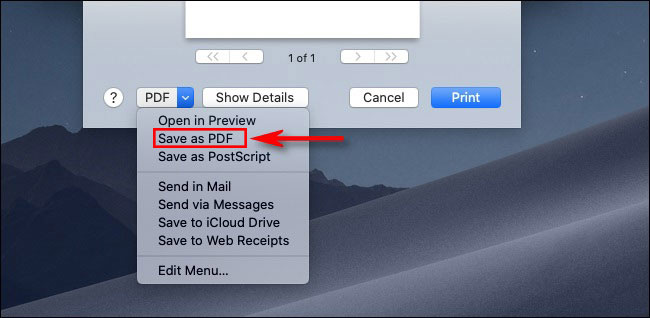 Chọn định dạng File PDF trong hộp thoại Print